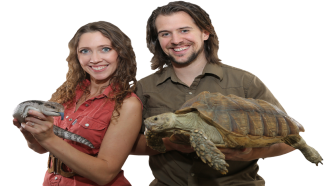 a woman and a man standing beside each other. the woman is holding a lizard and the man is holding a tortoise.