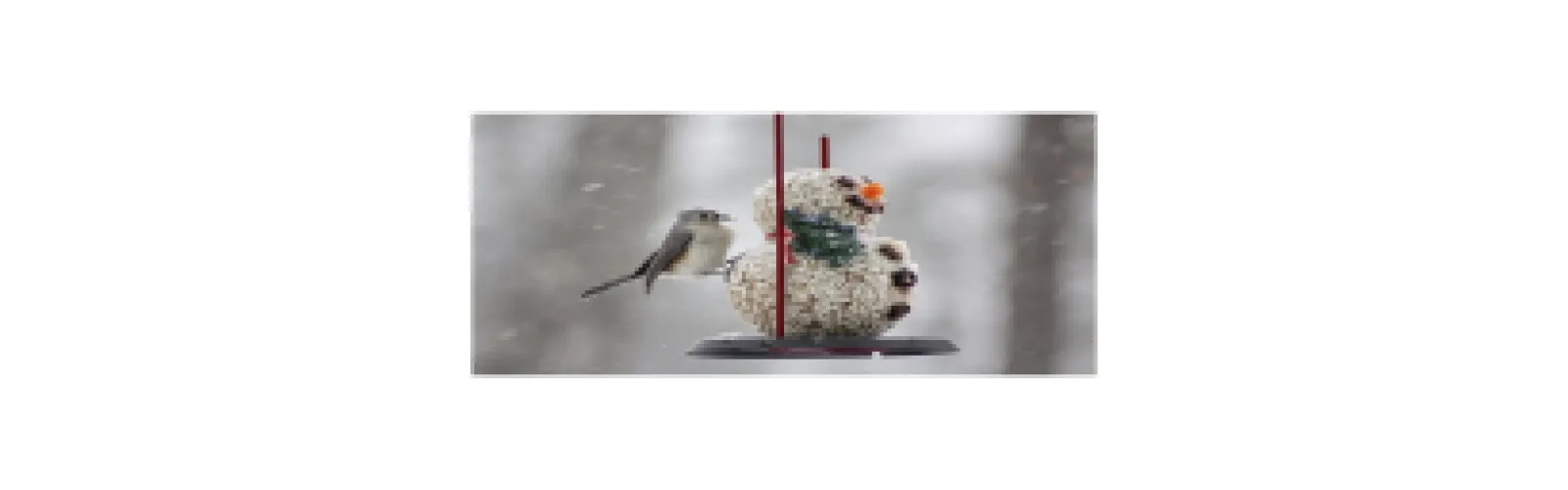 A little gray and white bird sitting on a snowman that is sitting on a swing. The snowman is made of bird seed.