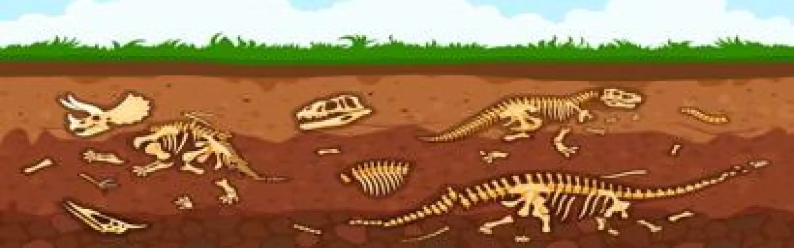 Fossils of different dinosaurs in the dirt.